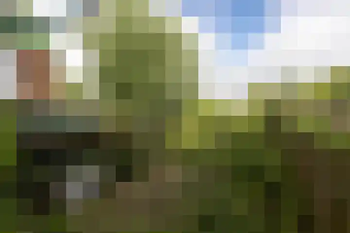 Noordeinde 7 Lambertschaag thumbnail 38