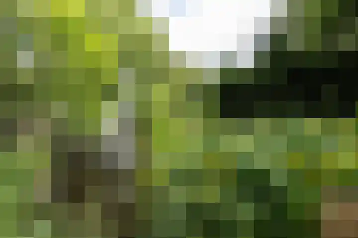 Noordeinde 7 Lambertschaag thumbnail 39