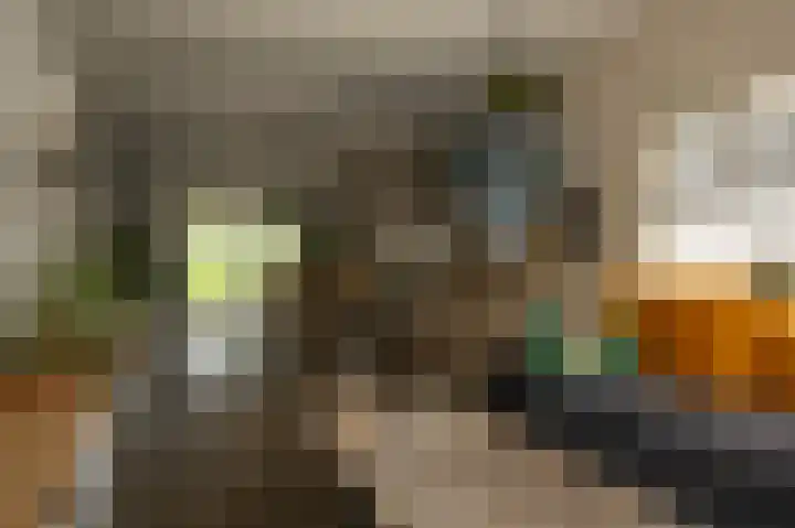 Noordeinde 7 Lambertschaag thumbnail 5