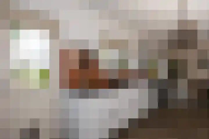Noordeinde 7 Lambertschaag thumbnail 8