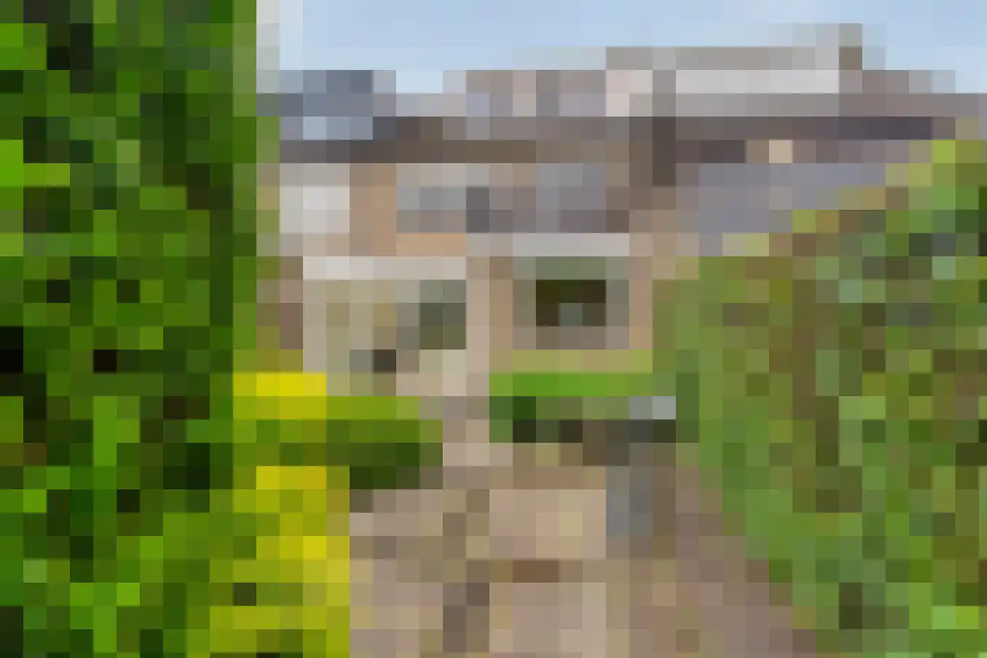 Noordeinde 71 Zevenaar thumbnail 35