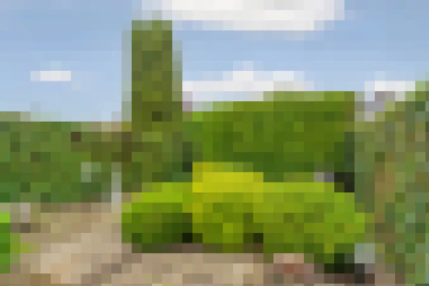 Noordeinde 71 Zevenaar thumbnail 36