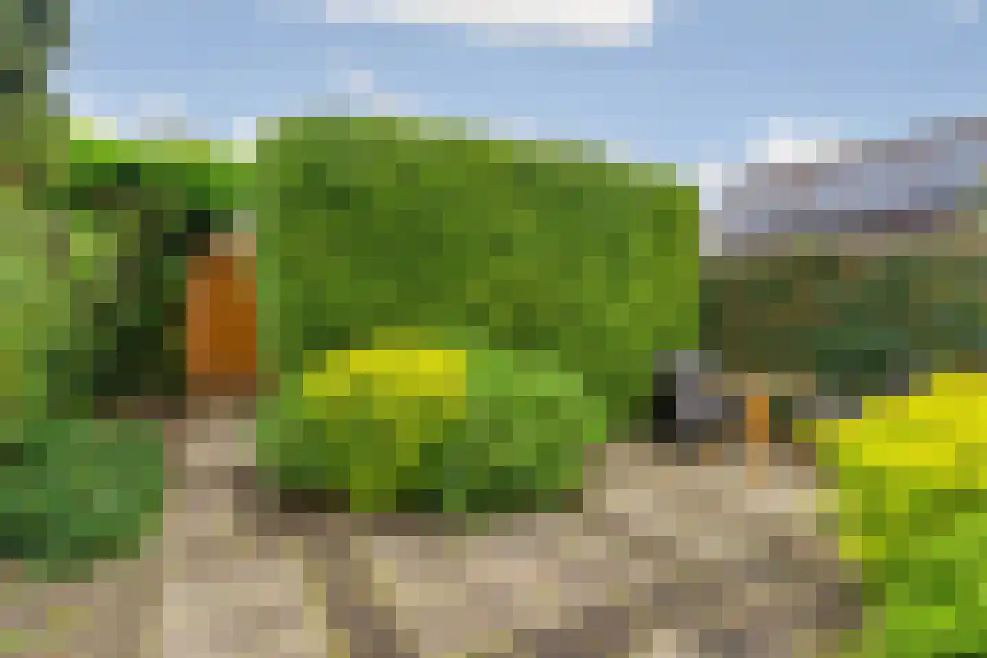 Noordeinde 71 Zevenaar thumbnail 37