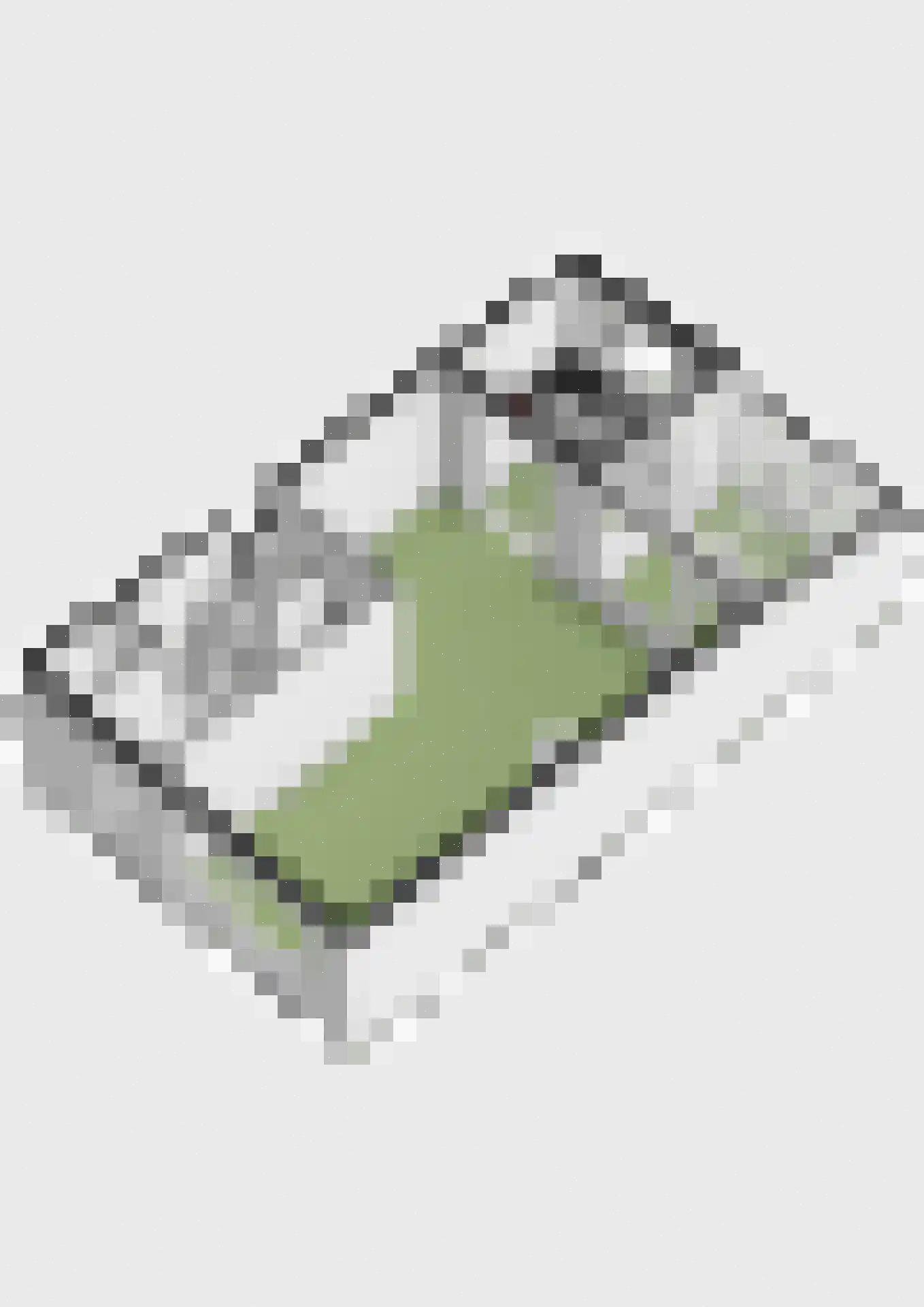 Noordeinde 71 Zevenaar thumbnail 43