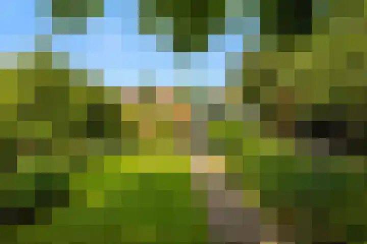 Noordeinde 75 Monnickendam thumbnail 14