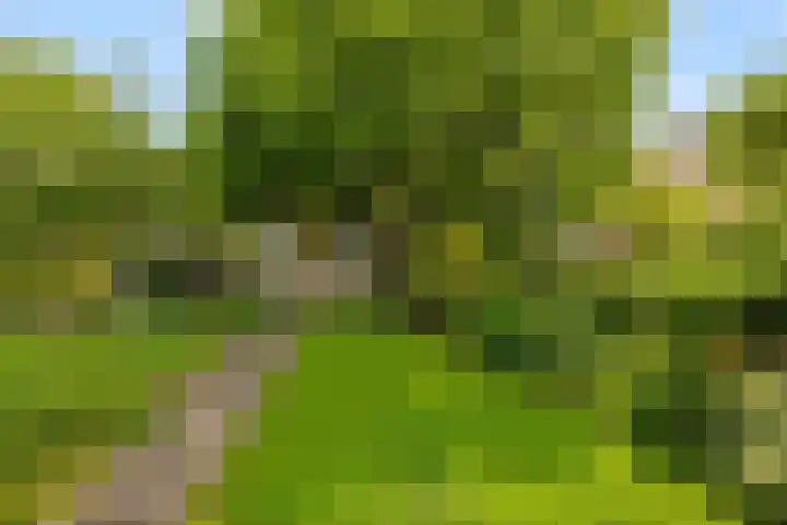 Noordeinde 75 Monnickendam thumbnail 16