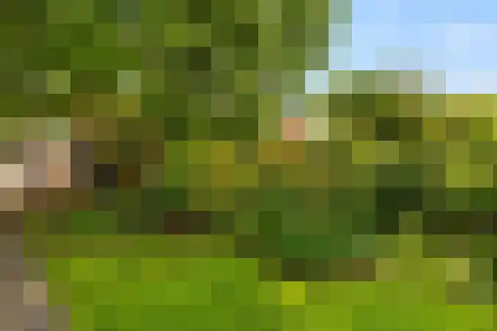 Noordeinde 75 Monnickendam thumbnail 17