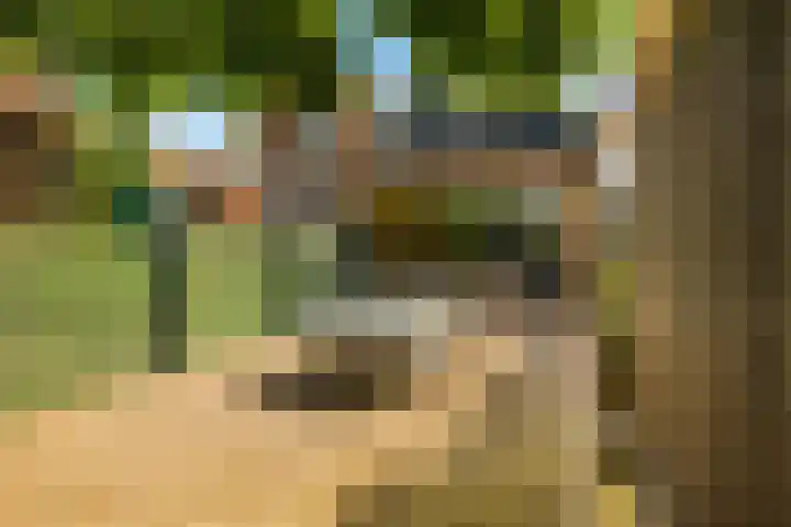 Noordeinde 75 Monnickendam thumbnail 19