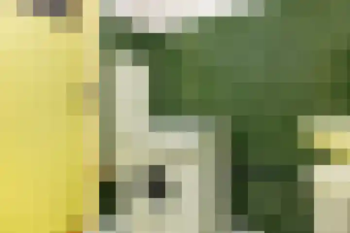 Noordeinde 75 Monnickendam thumbnail 26