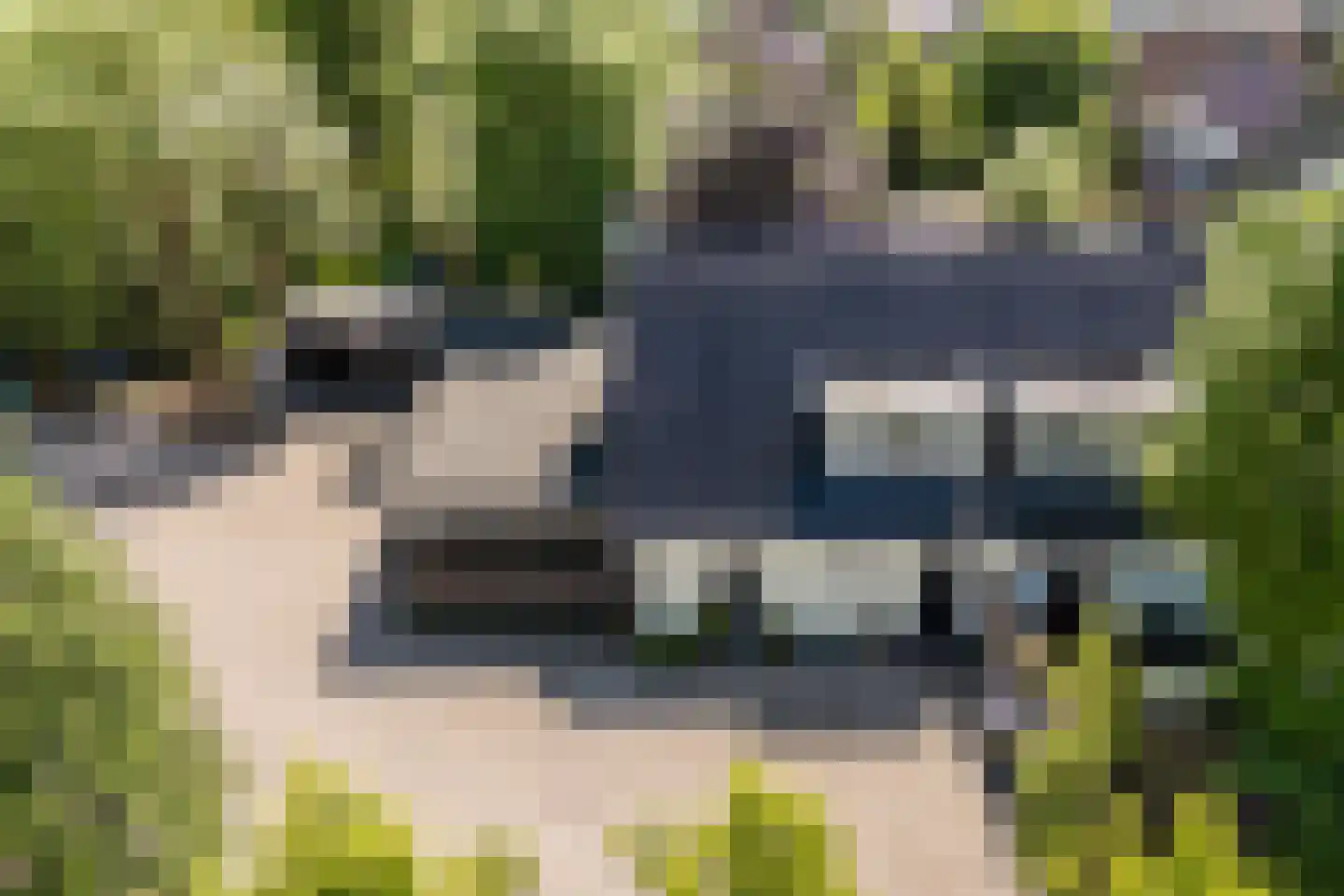 Noordeinde 77 A Aarlanderveen thumbnail 11