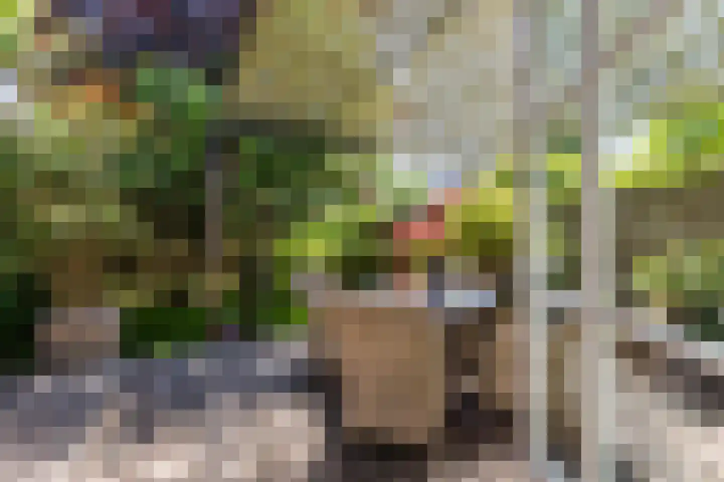 Noordeinde 77 A Aarlanderveen thumbnail 42