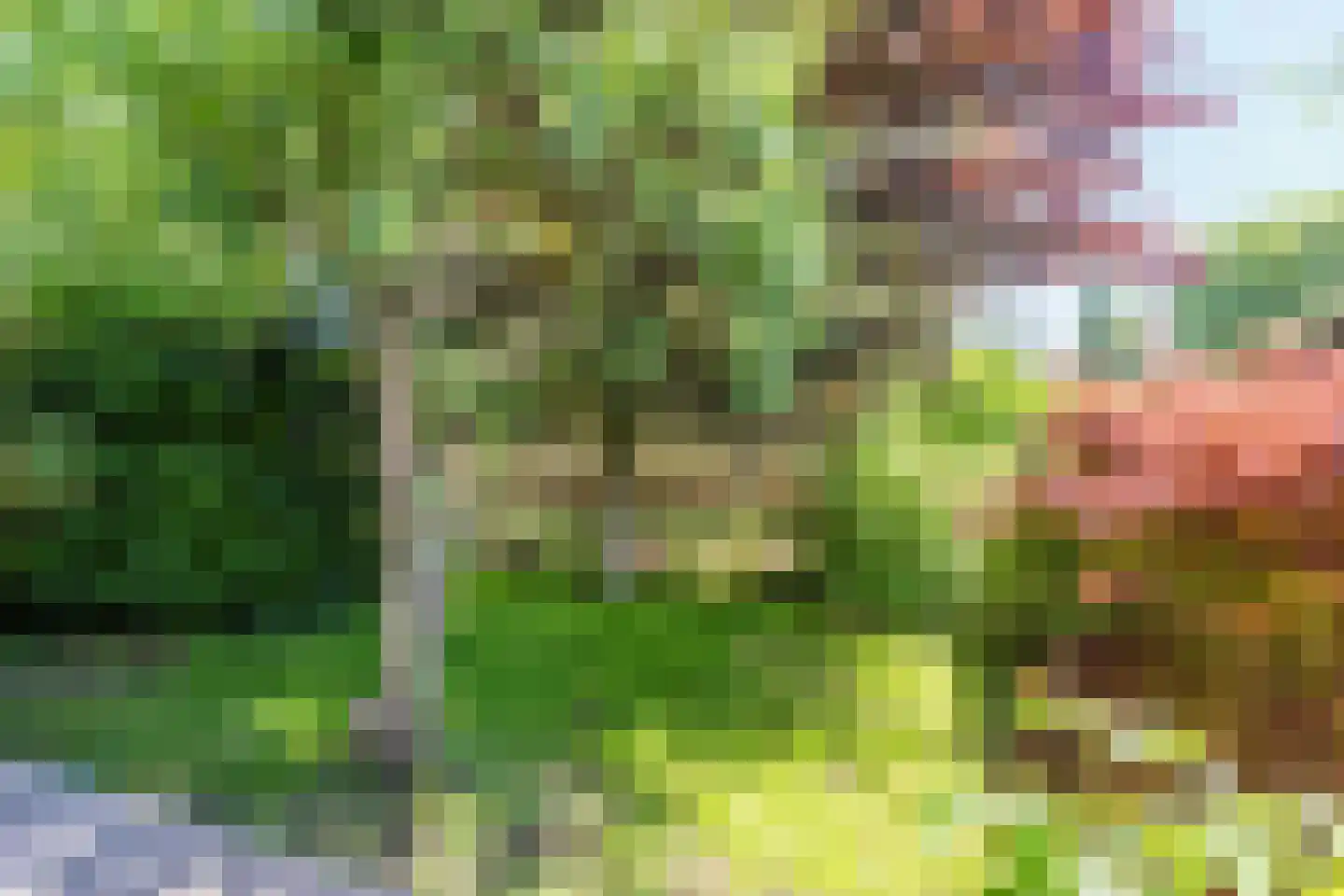 Noordeinde 77 A Aarlanderveen thumbnail 44