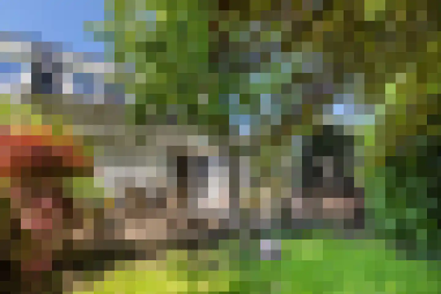 Noordeinde 77 A Aarlanderveen thumbnail 45