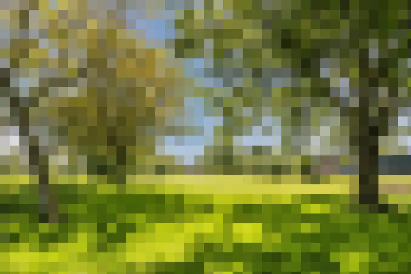 Noordeinde 77 A Aarlanderveen thumbnail 6