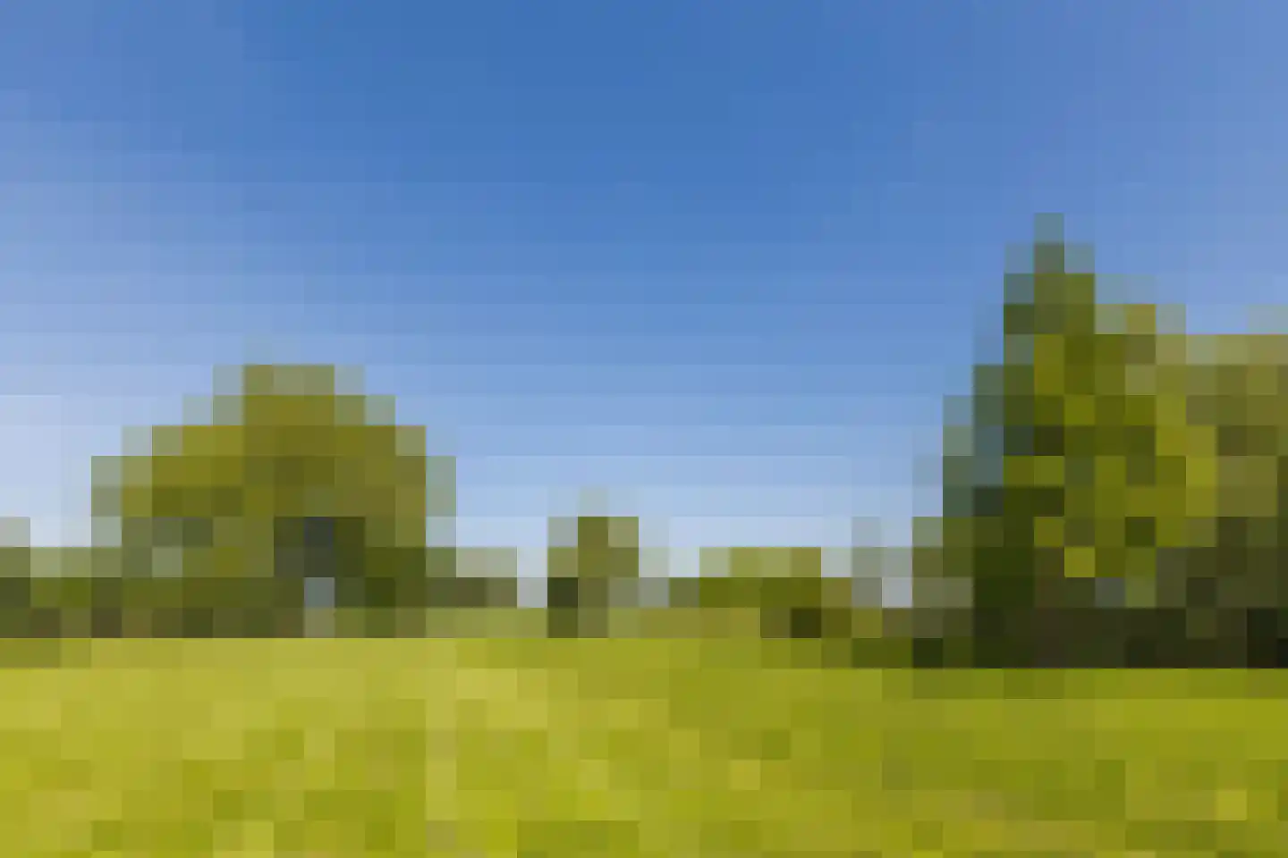 Noordeinde 77 A Aarlanderveen thumbnail 63