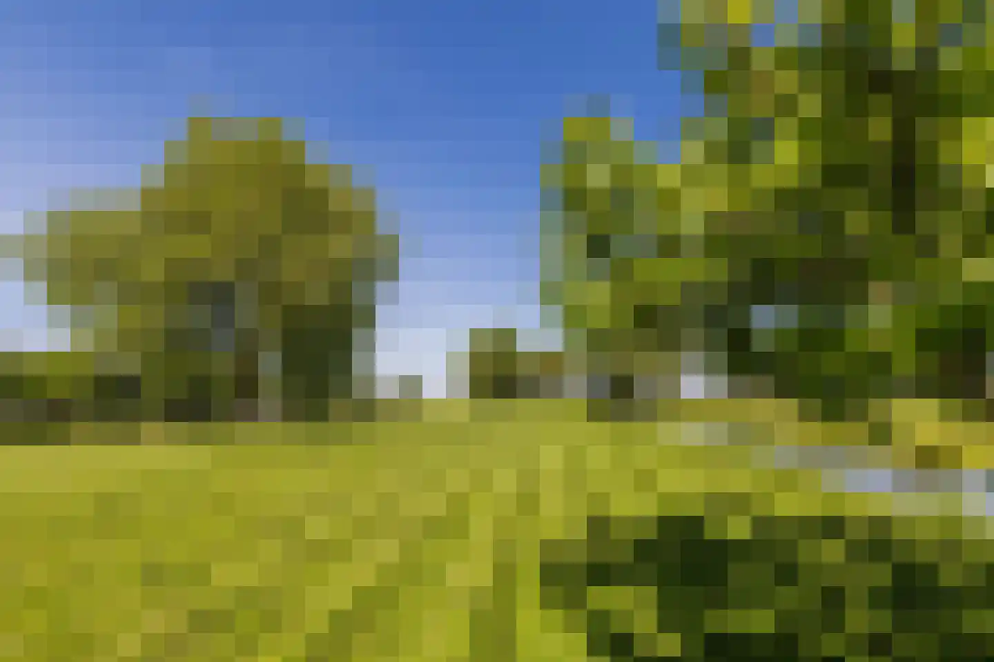 Noordeinde 77 A Aarlanderveen thumbnail 64