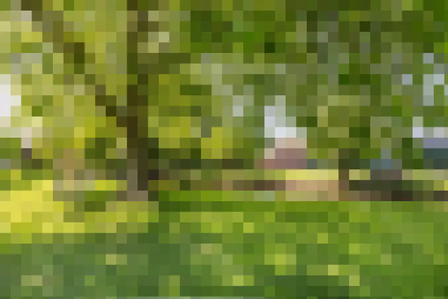 Noordeinde 77 A Aarlanderveen thumbnail 65