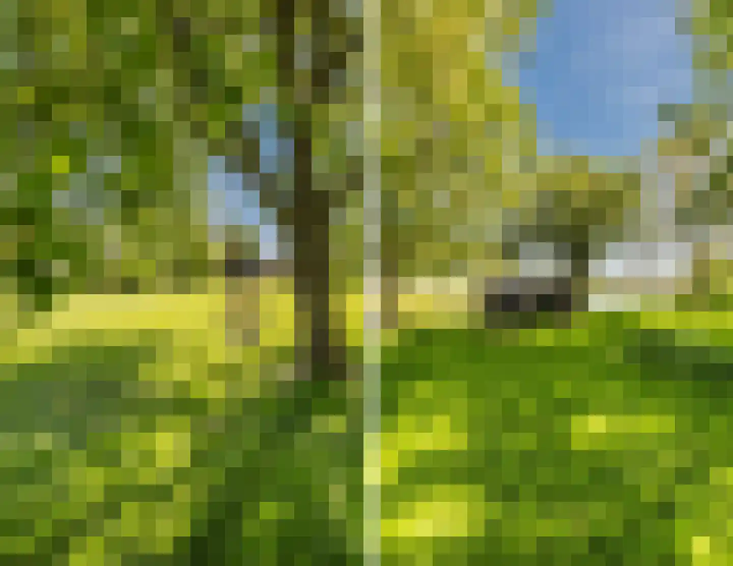 Noordeinde 77 A Aarlanderveen thumbnail 66