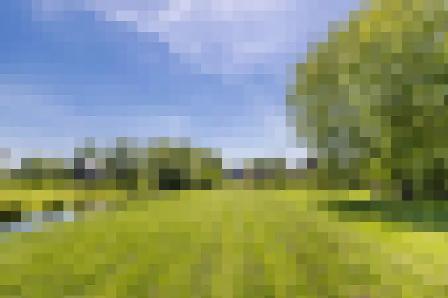 Noordeinde 77 A Aarlanderveen thumbnail 69