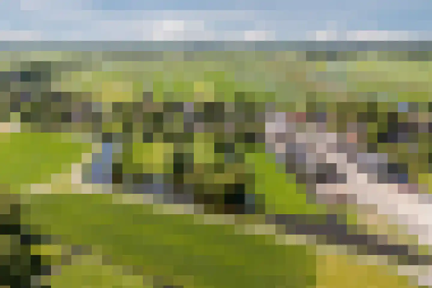 Noordeinde 77 A Aarlanderveen thumbnail 70