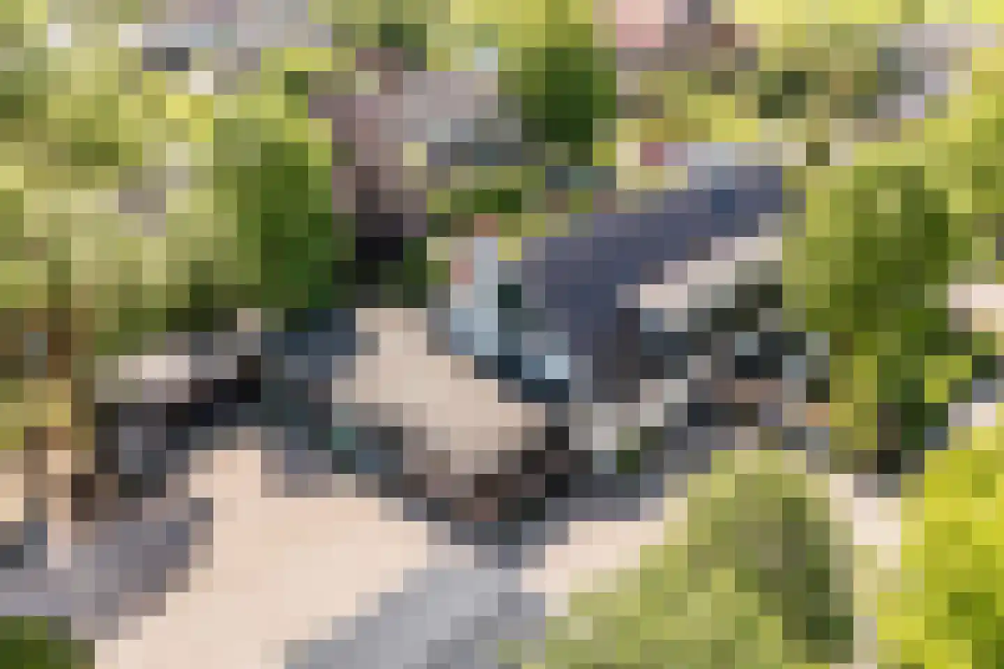 Noordeinde 77 A Aarlanderveen thumbnail 73