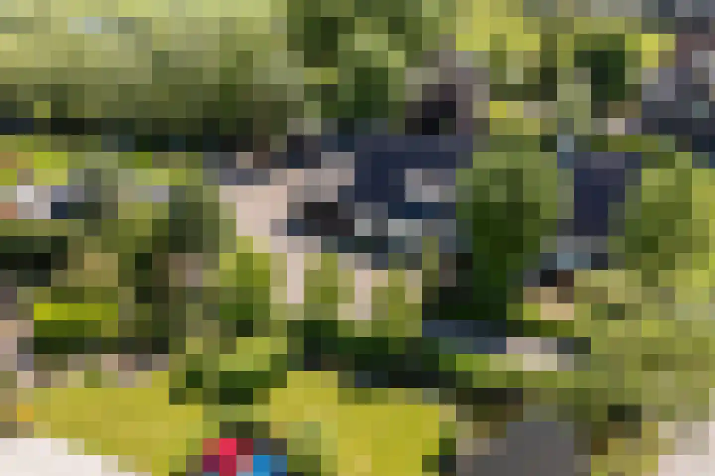 Noordeinde 77 A Aarlanderveen thumbnail 74