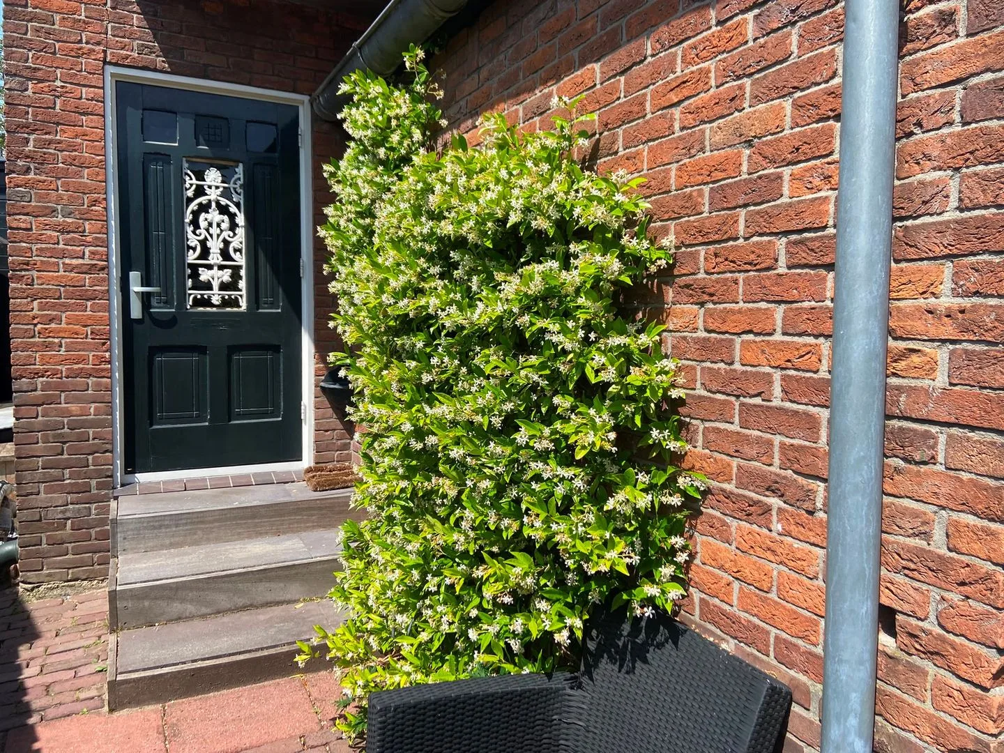 Noordeinde 77 a Roelofarendsveen thumbnail 35