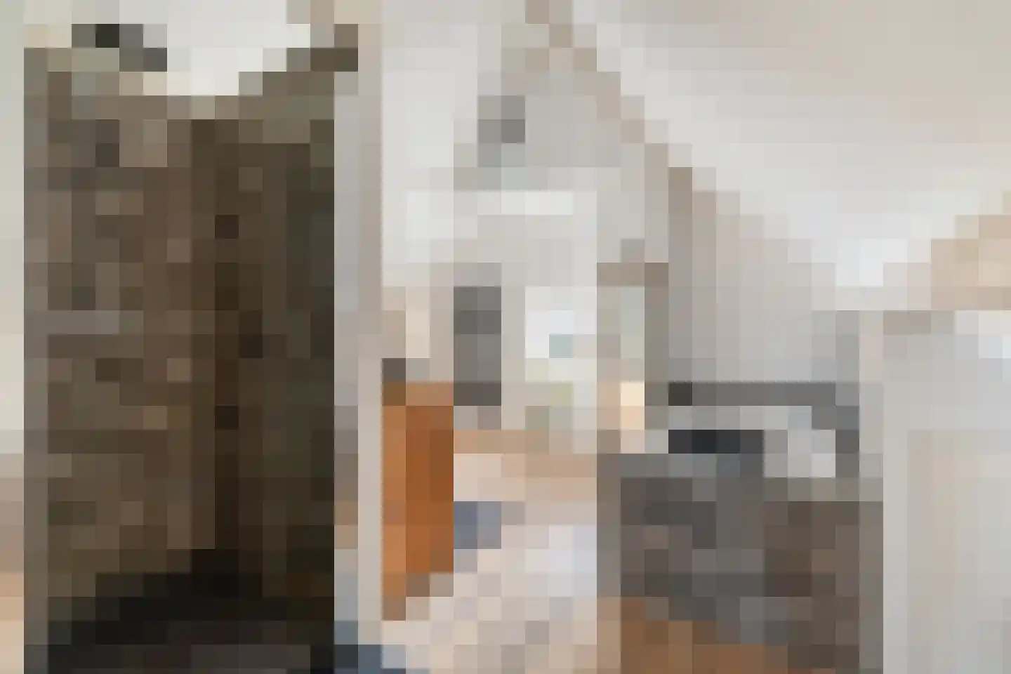 Noordeinde 77 a Roelofarendsveen thumbnail 35