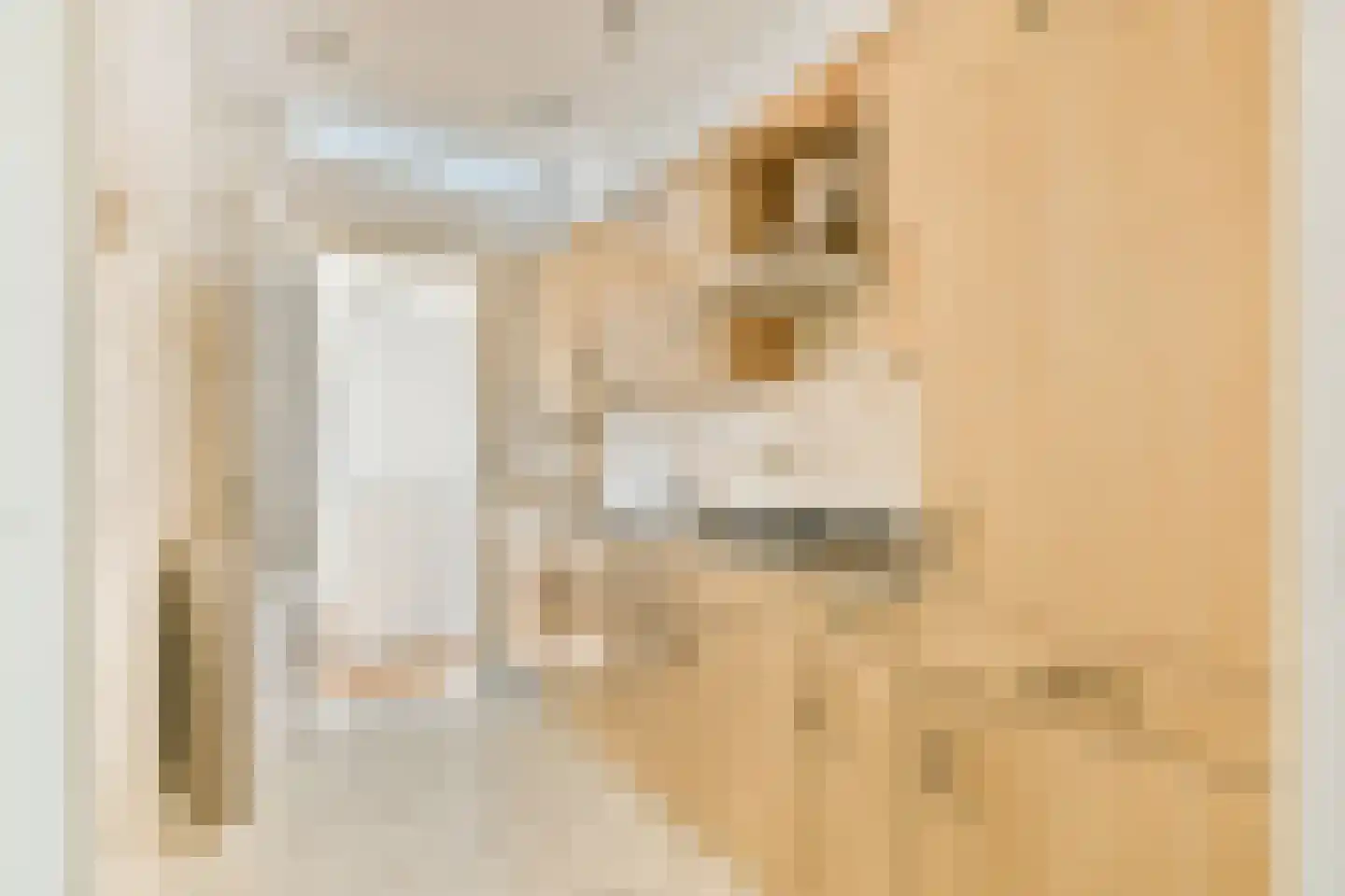 Noordeinde 77 Oostzaan thumbnail 10