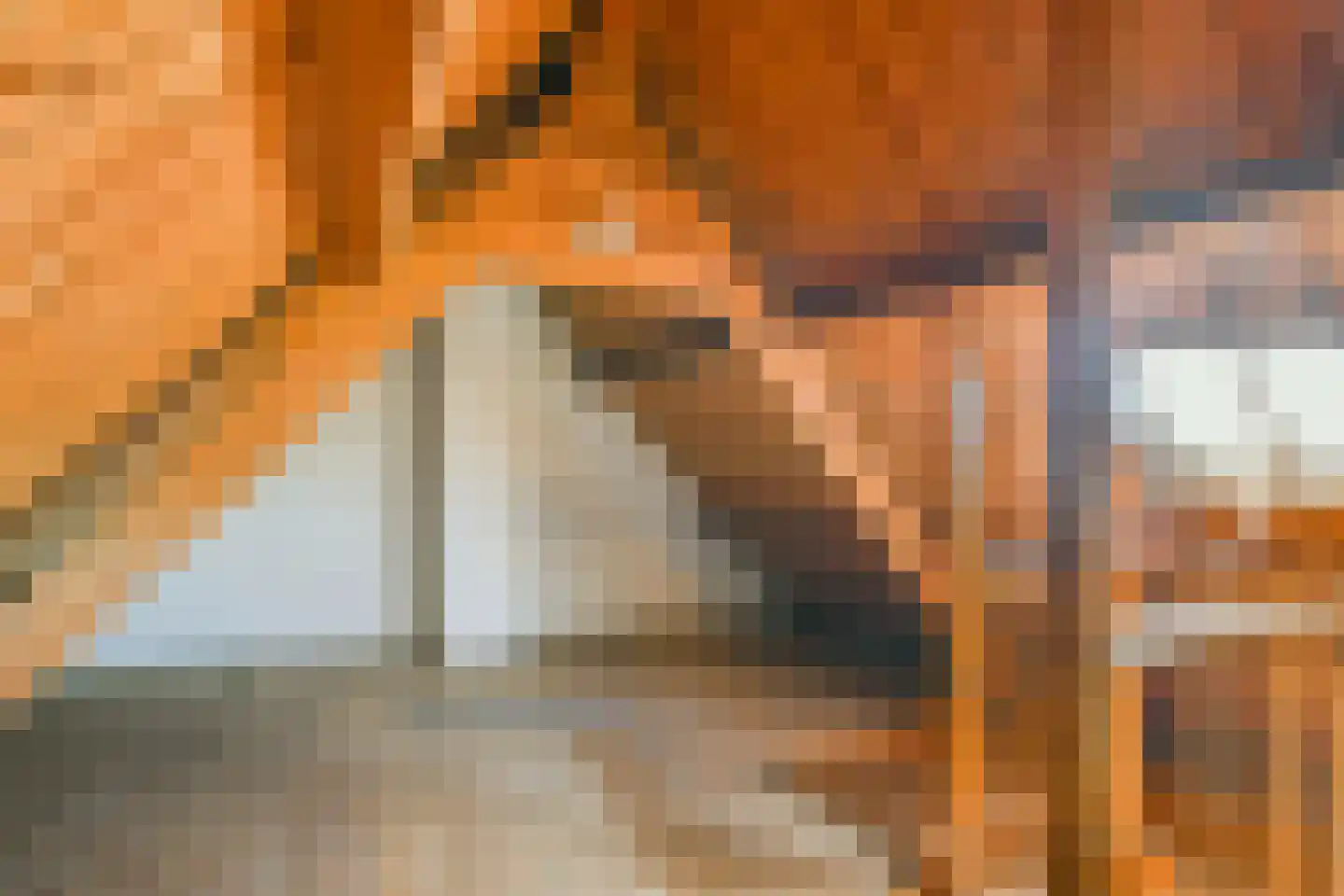 Noordeinde 77 Oostzaan thumbnail 18