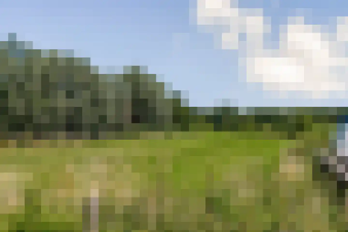 Noordeinde 77 Oostzaan thumbnail 27