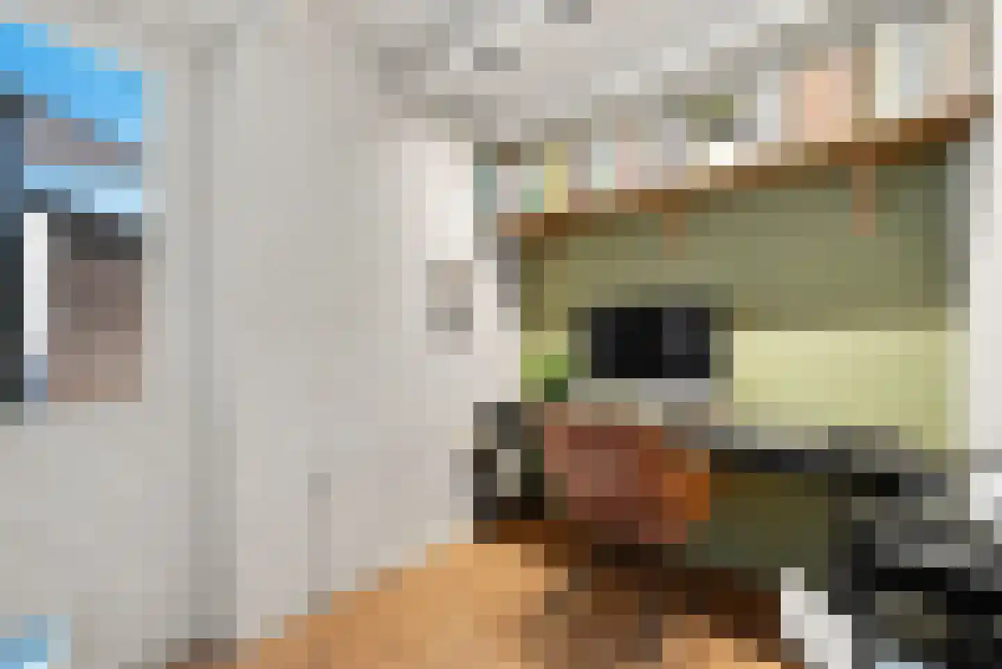 Noordeinde 8 Koudekerke thumbnail 17