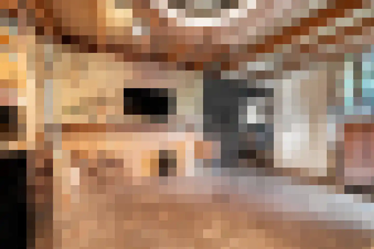 Noordeinde 8 Koudekerke thumbnail 19