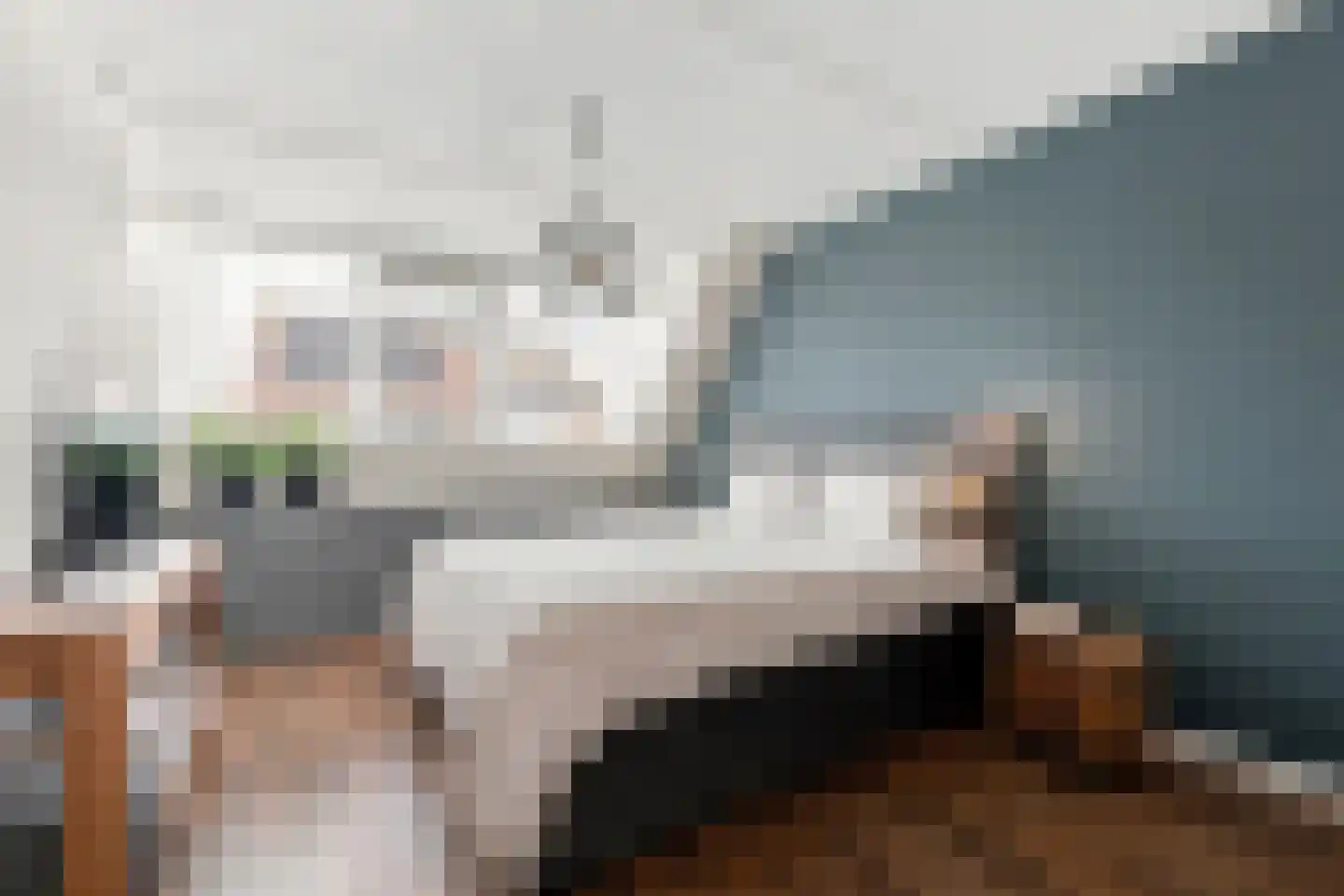 Noordeinde 8 Koudekerke thumbnail 22
