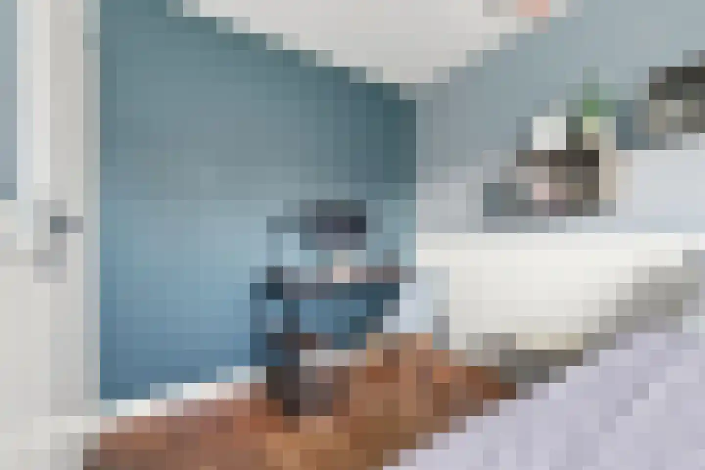 Noordeinde 8 Koudekerke thumbnail 25