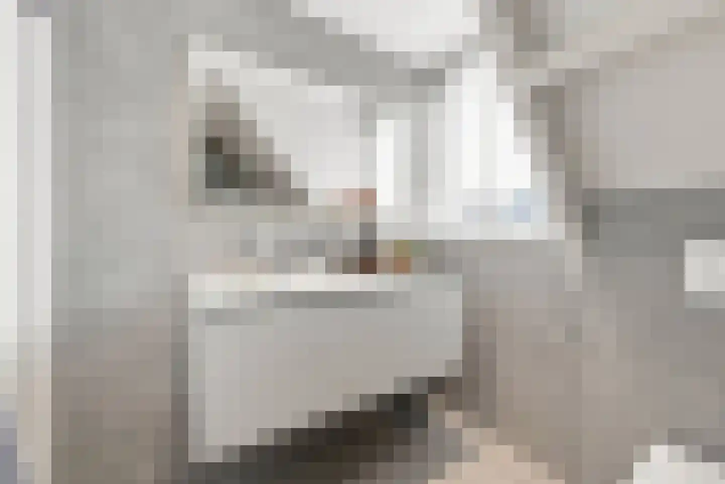 Noordeinde 8 Koudekerke thumbnail 28