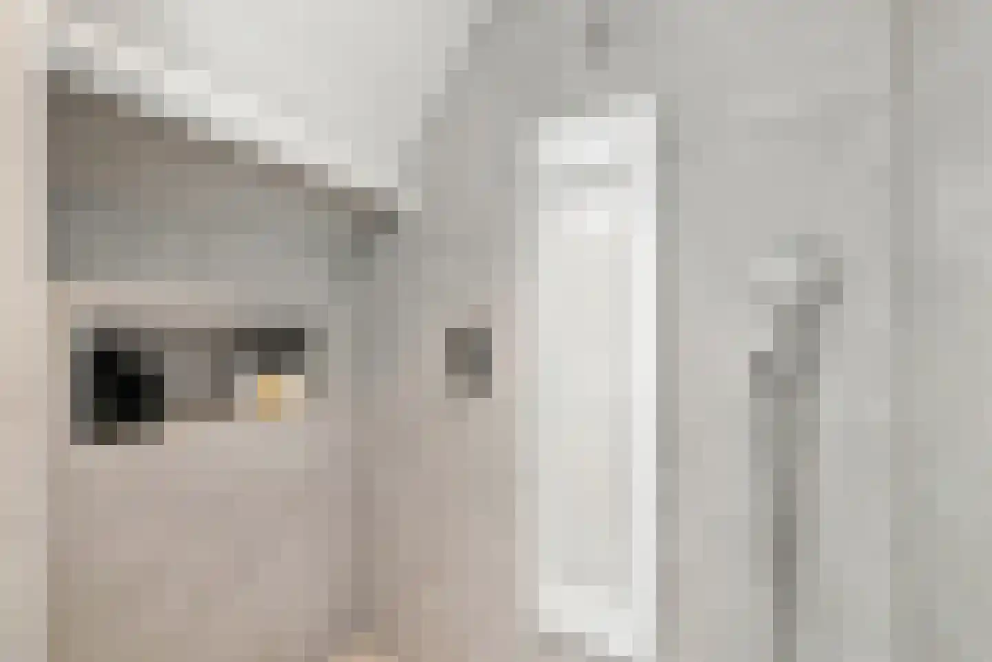 Noordeinde 8 Koudekerke thumbnail 30