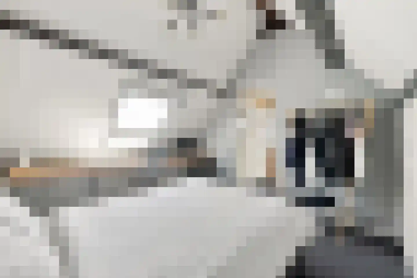 Noordeinde 8 Koudekerke thumbnail 35