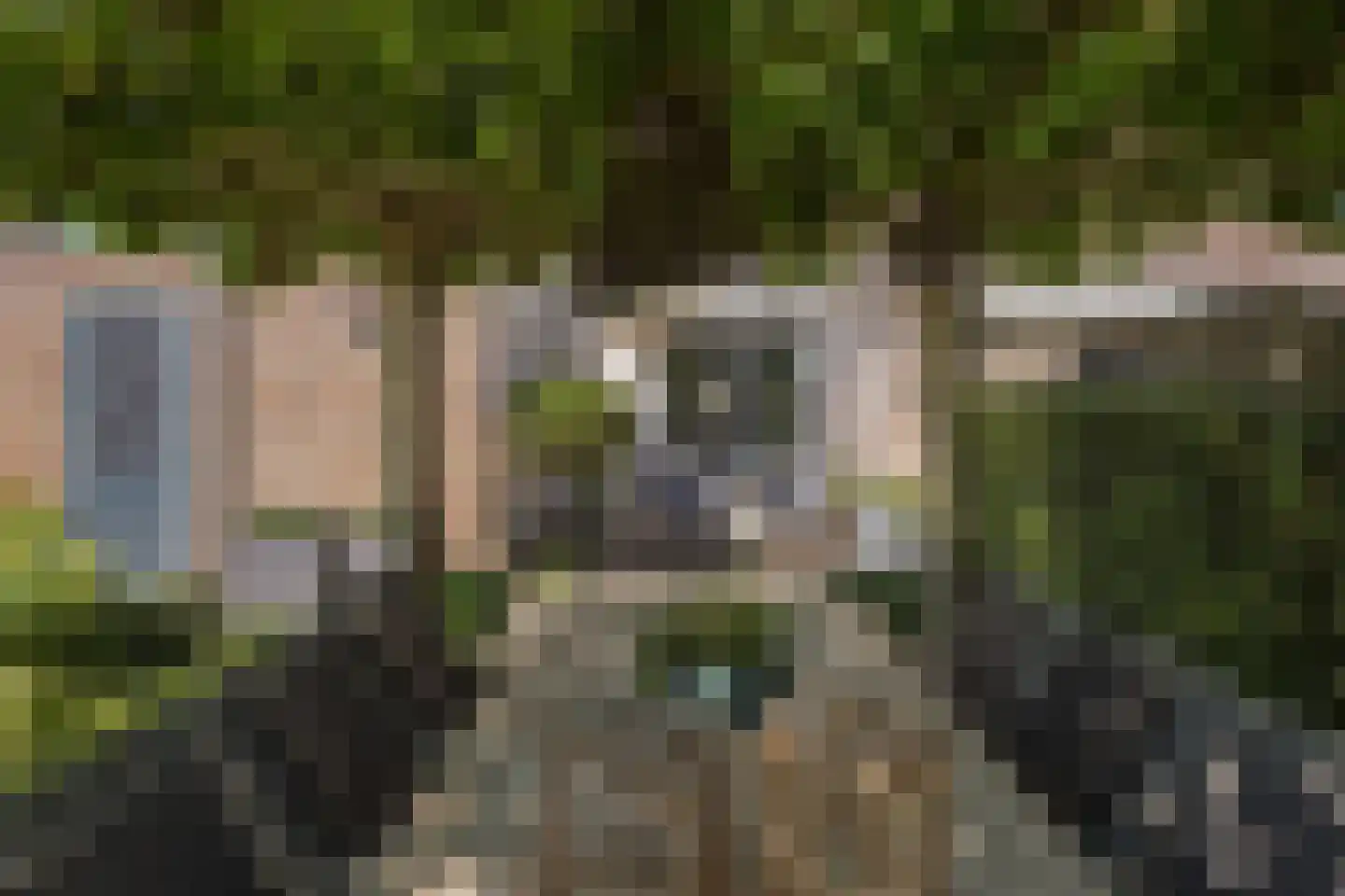 Noordeinde 8 Koudekerke thumbnail 38