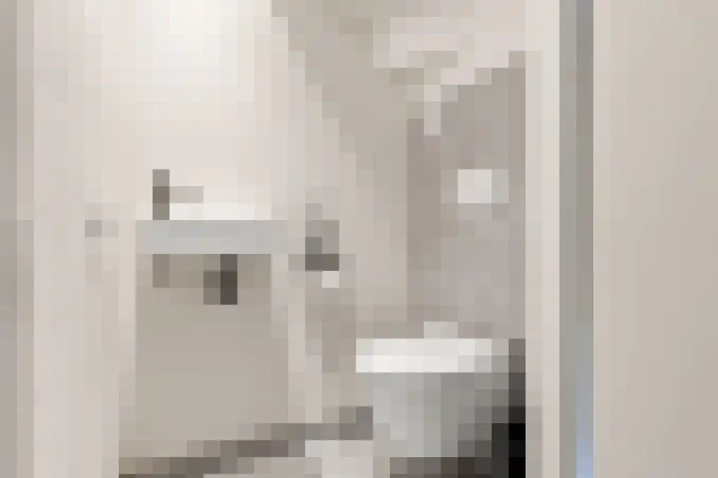 Noordeinde 8 Koudekerke thumbnail 7