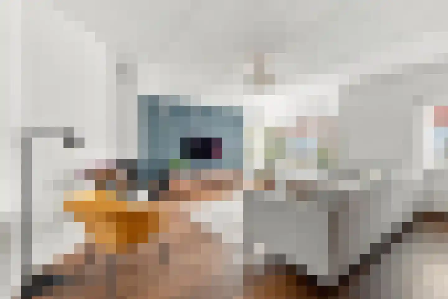 Noordeinde 8 Koudekerke thumbnail 8