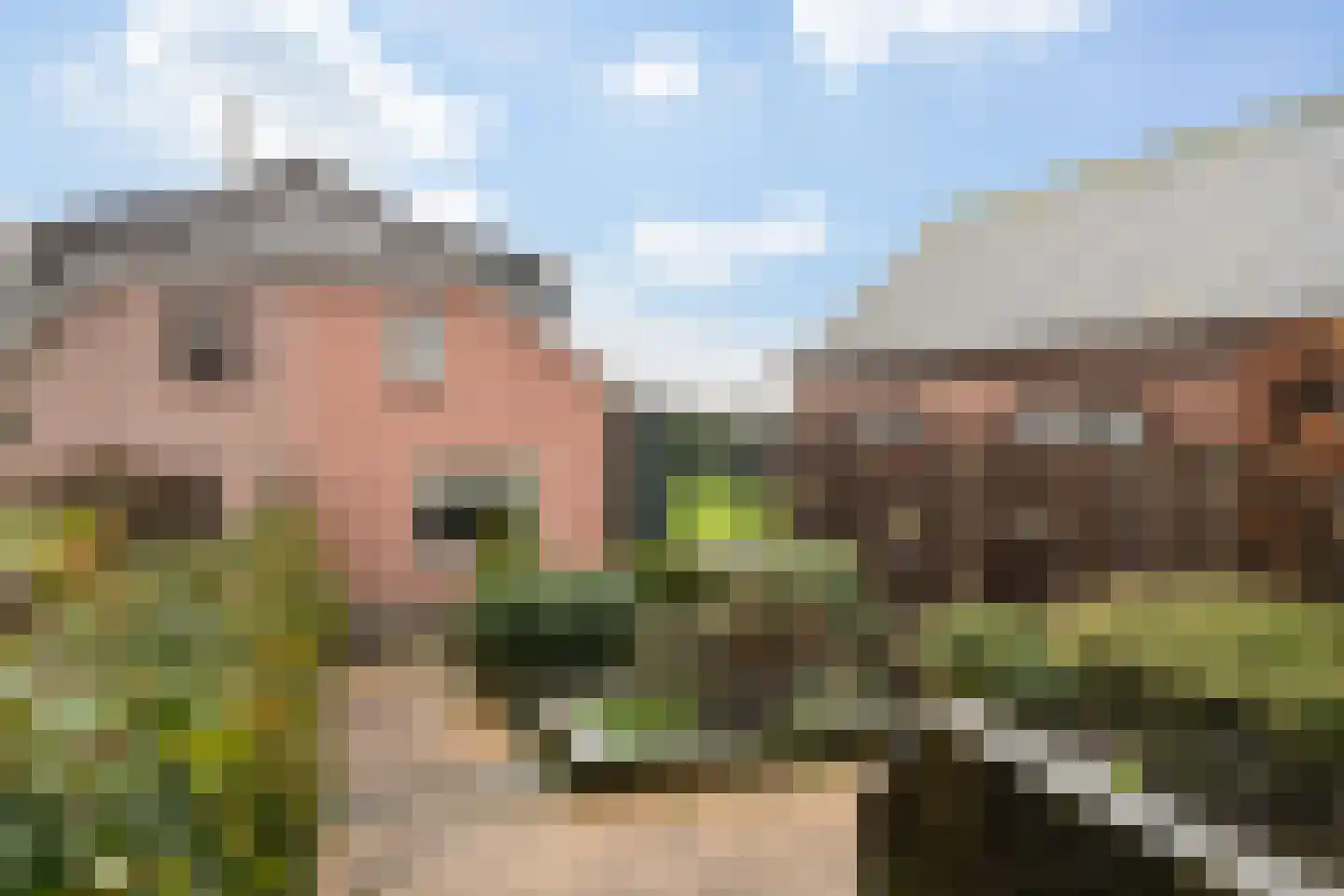 Noordeinde 85 Moerkapelle thumbnail 35