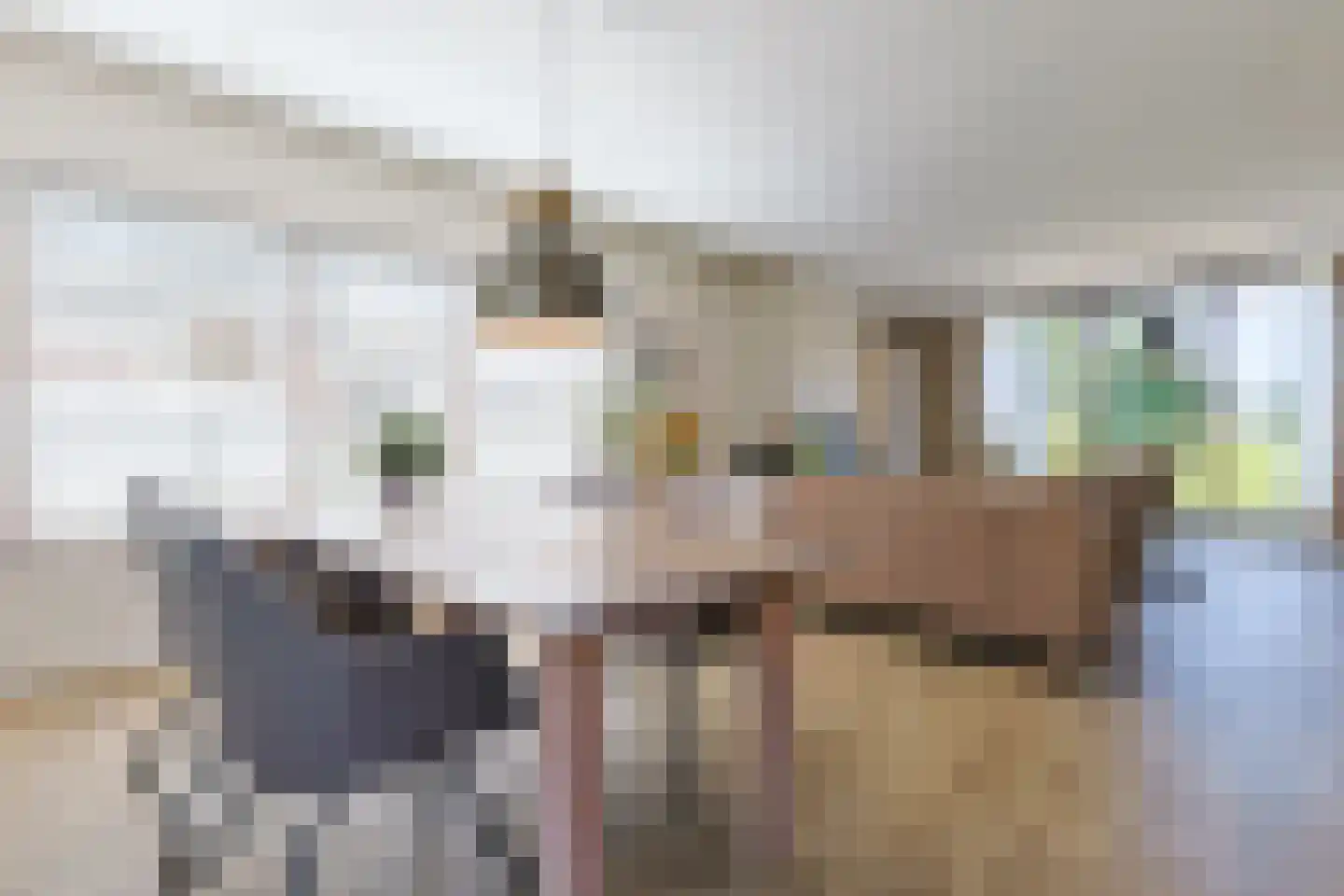 Noordeinde 86 Aarlanderveen thumbnail 11