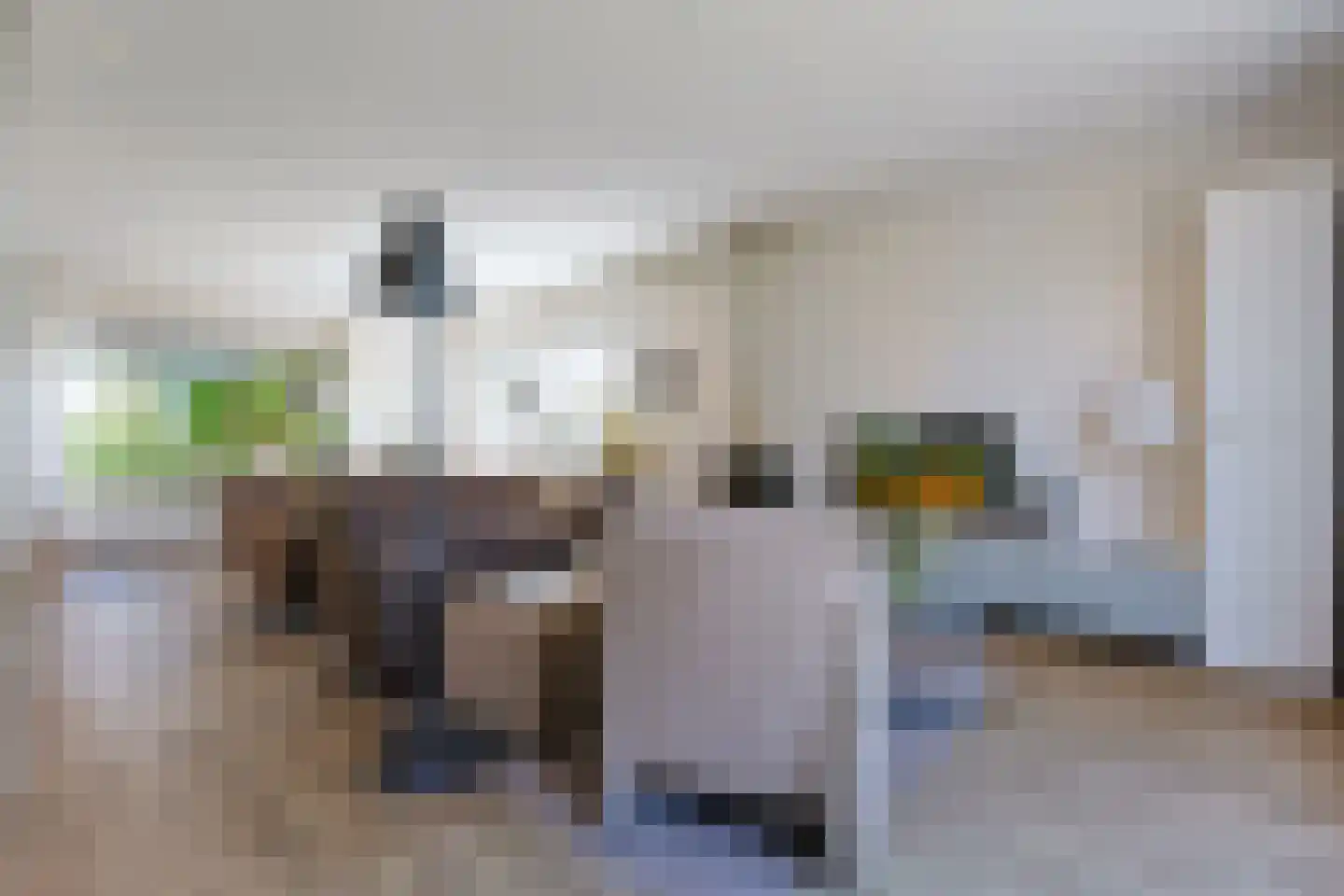 Noordeinde 86 Aarlanderveen thumbnail 18
