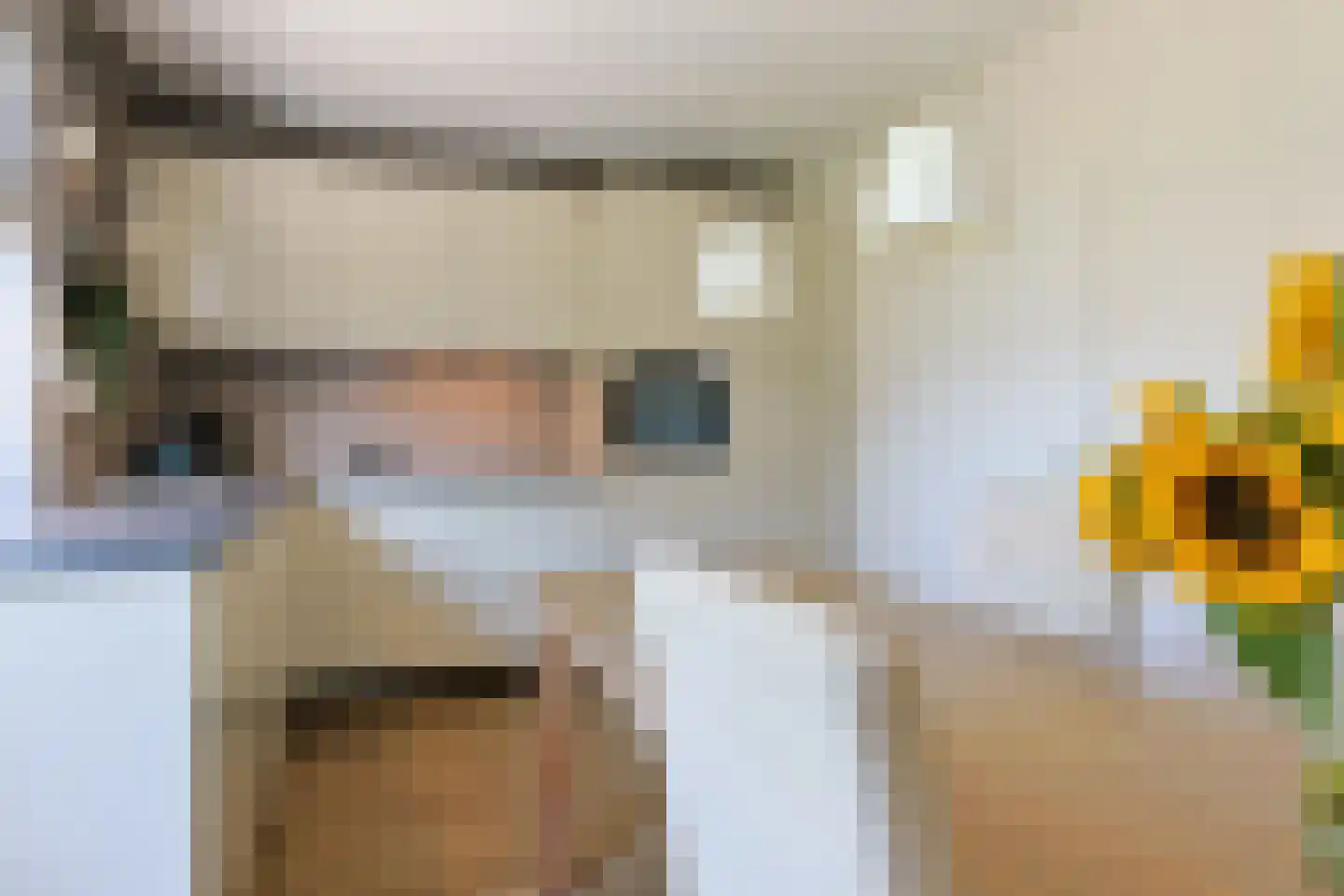 Noordeinde 86 Aarlanderveen thumbnail 22