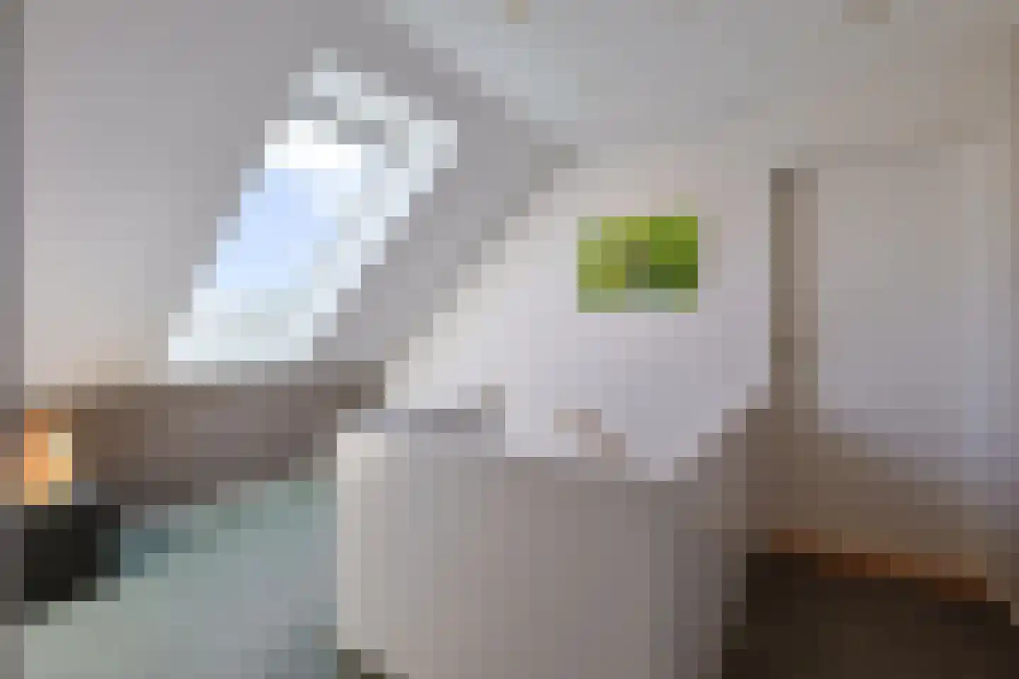 Noordeinde 86 Aarlanderveen thumbnail 24