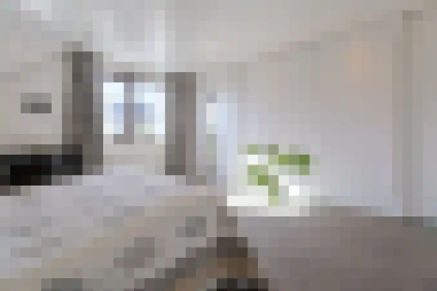 Noordeinde 86 Aarlanderveen thumbnail 30