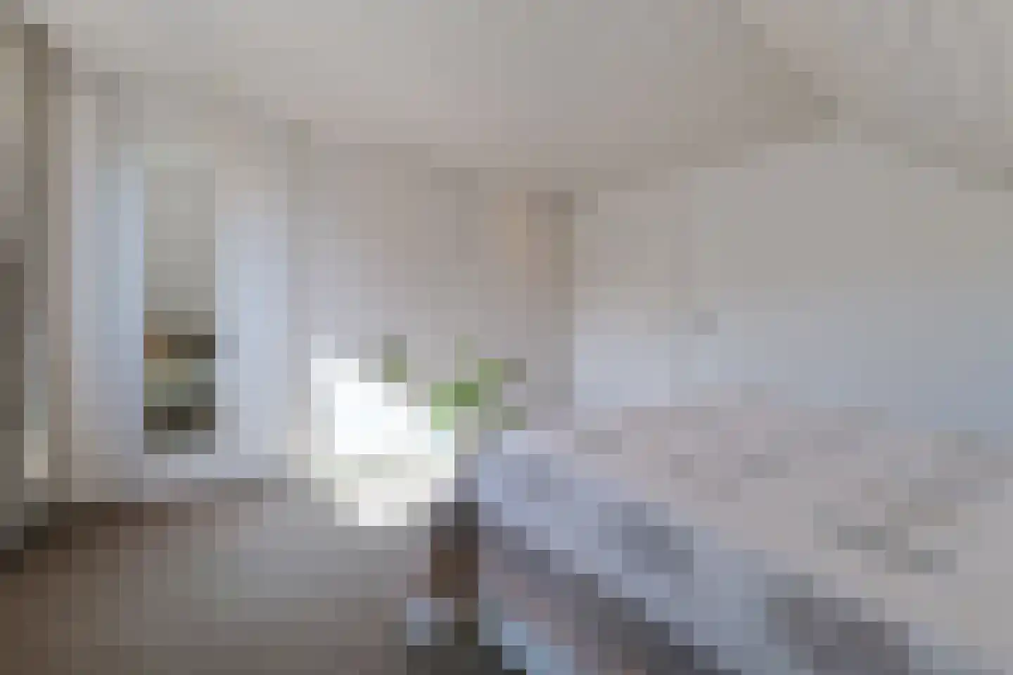 Noordeinde 86 Aarlanderveen thumbnail 31