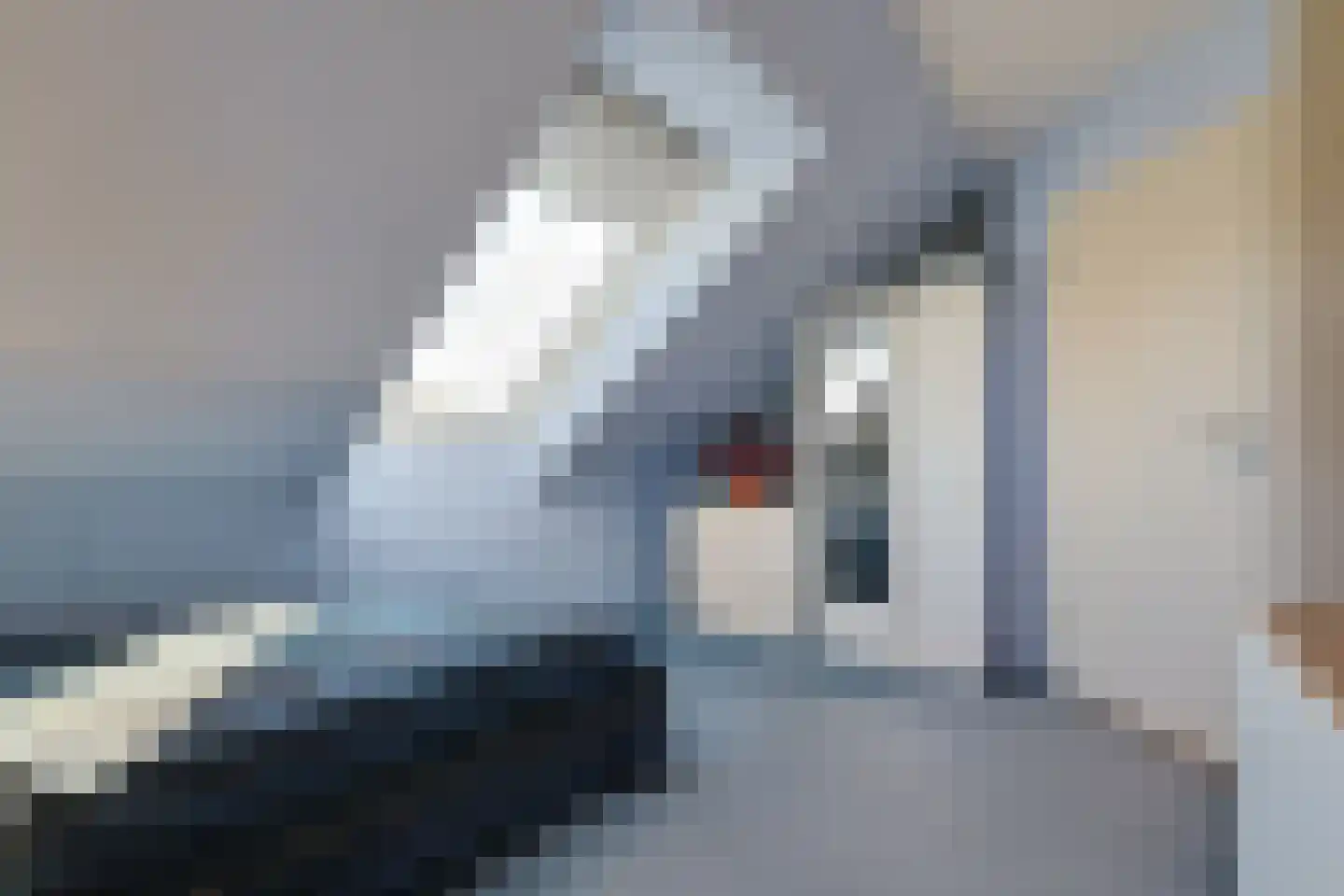 Noordeinde 86 Aarlanderveen thumbnail 42