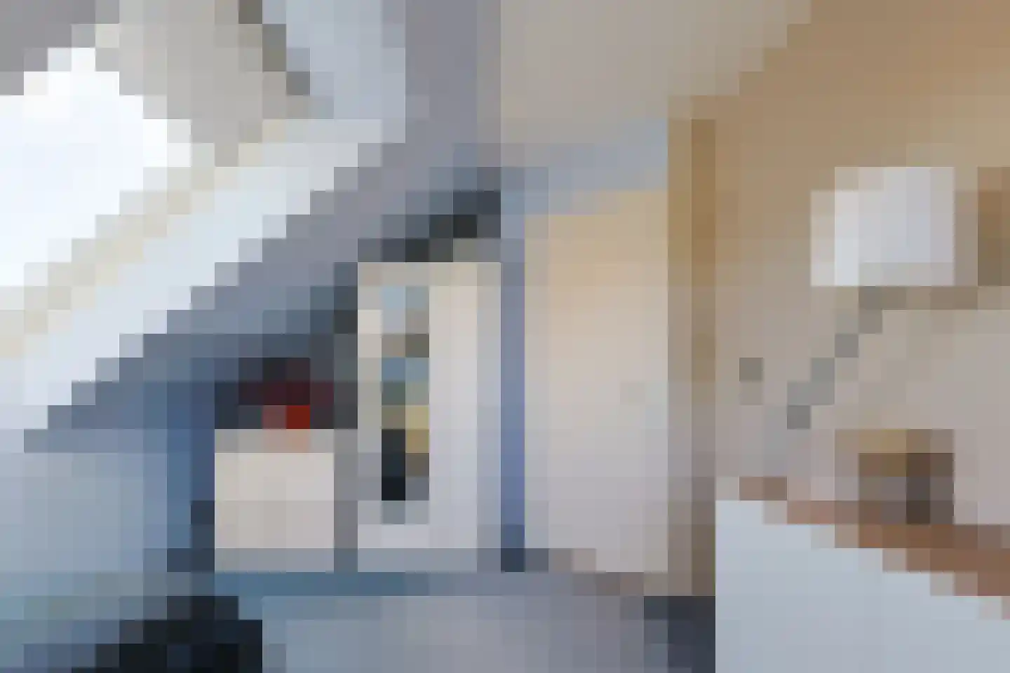 Noordeinde 86 Aarlanderveen thumbnail 43